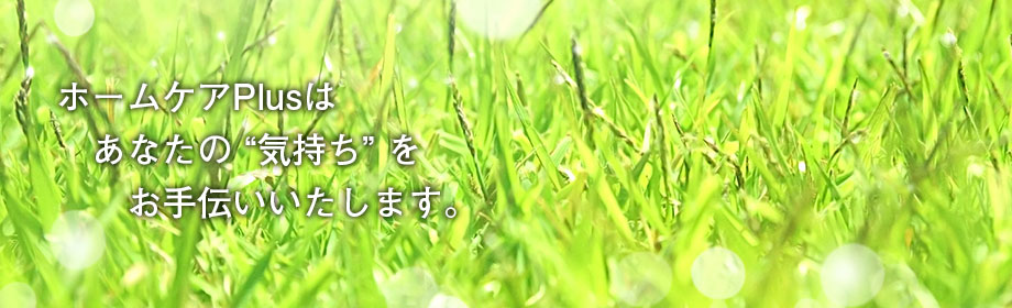 �z�[���P�APlus�͂��Ȃ��̋C����������`���������܂��B